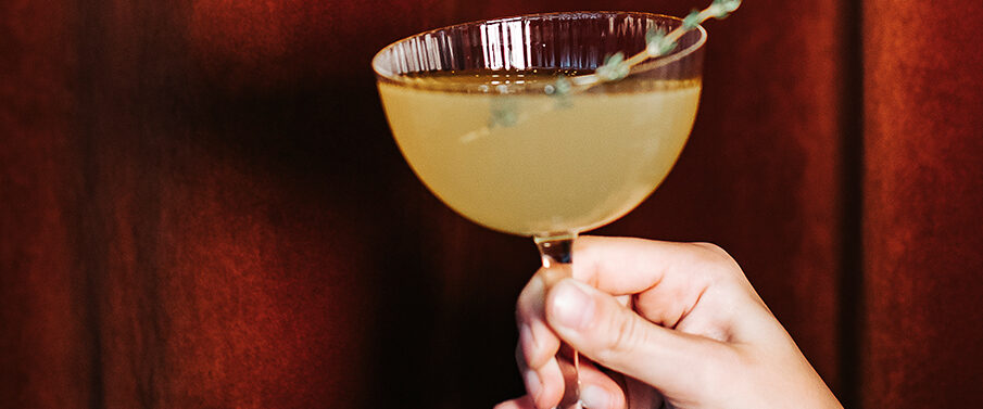 Daiquiri